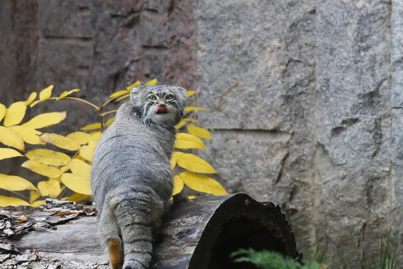 A photograph of Timofey in Moscow zoo