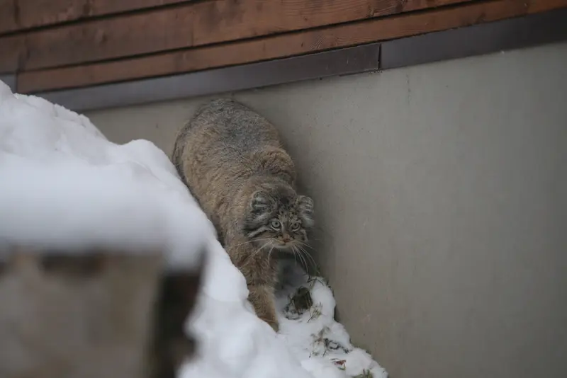 A photograph of Ula in Gdansk Zoo