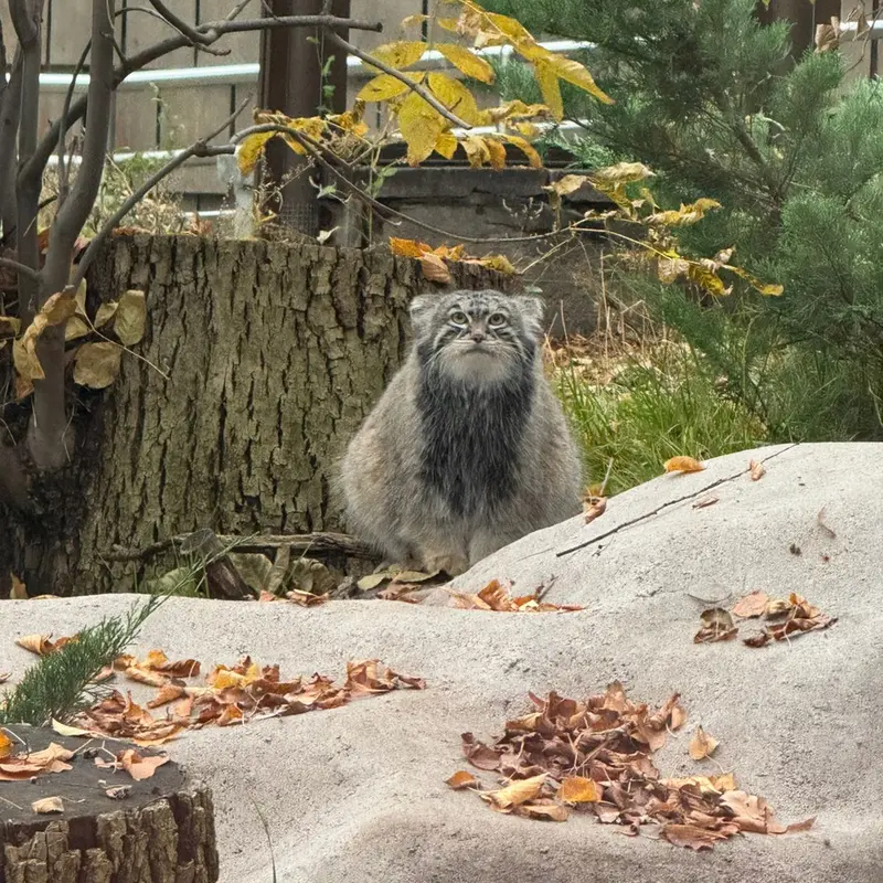 A photograph of Timofey in Moscow zoo