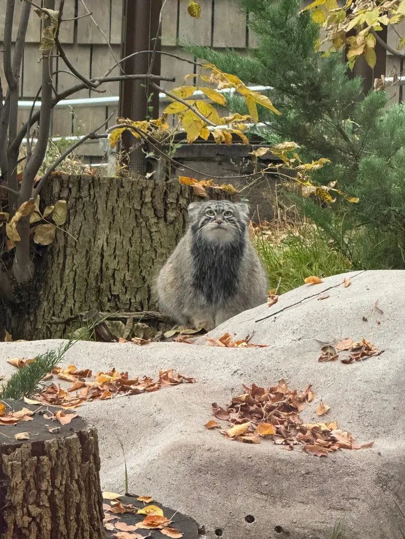 A photograph of Timofey in Moscow zoo