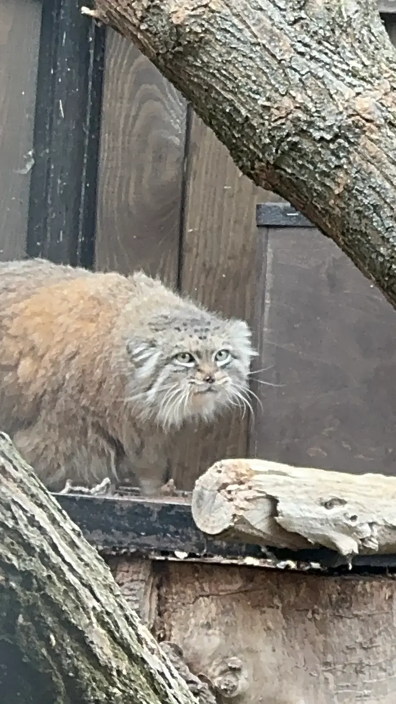 A photograph of Jessie in Warsaw Zoo