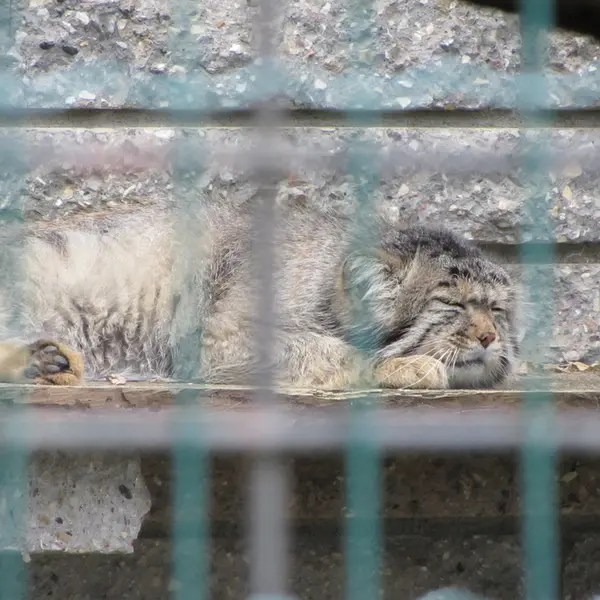 A photograph of Jonathan in Magdeburg Zoo