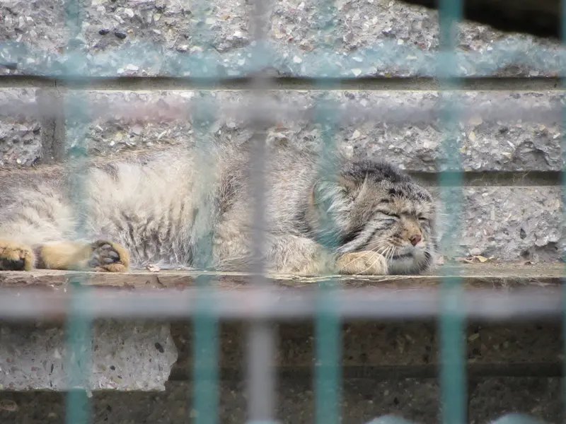 A photograph of Jonathan in Magdeburg Zoo
