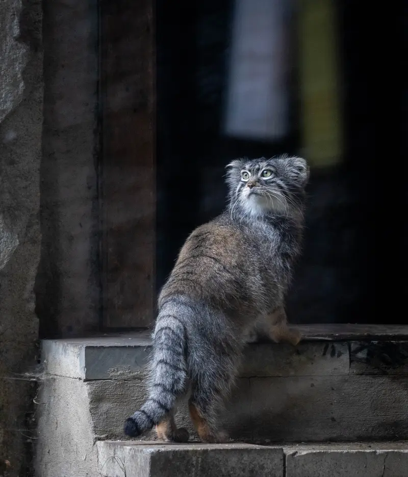 A photograph of Timofey in Moscow zoo