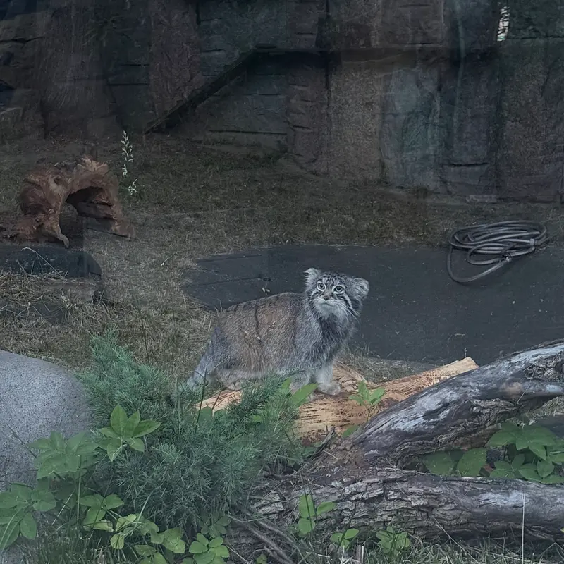 A photograph of Timofey in Moscow zoo