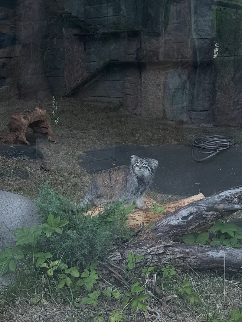 A photograph of Timofey in Moscow zoo