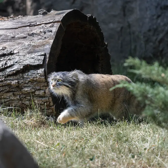 A photograph of Timofey in Moscow zoo