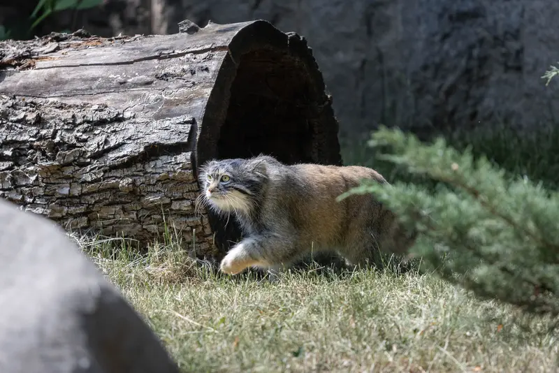 A photograph of Timofey in Moscow zoo