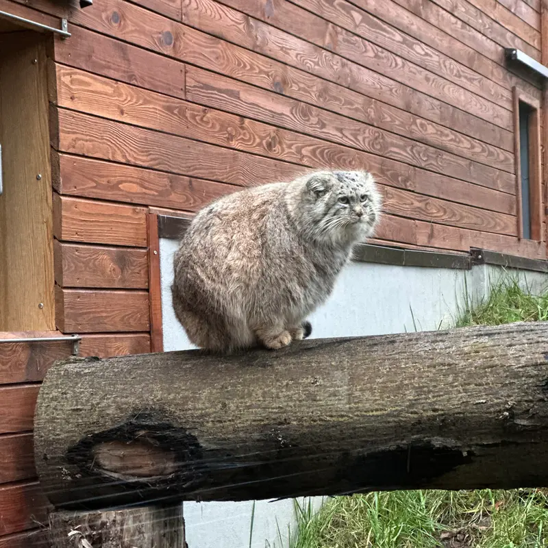 A photograph of Manuel in Gdansk Zoo