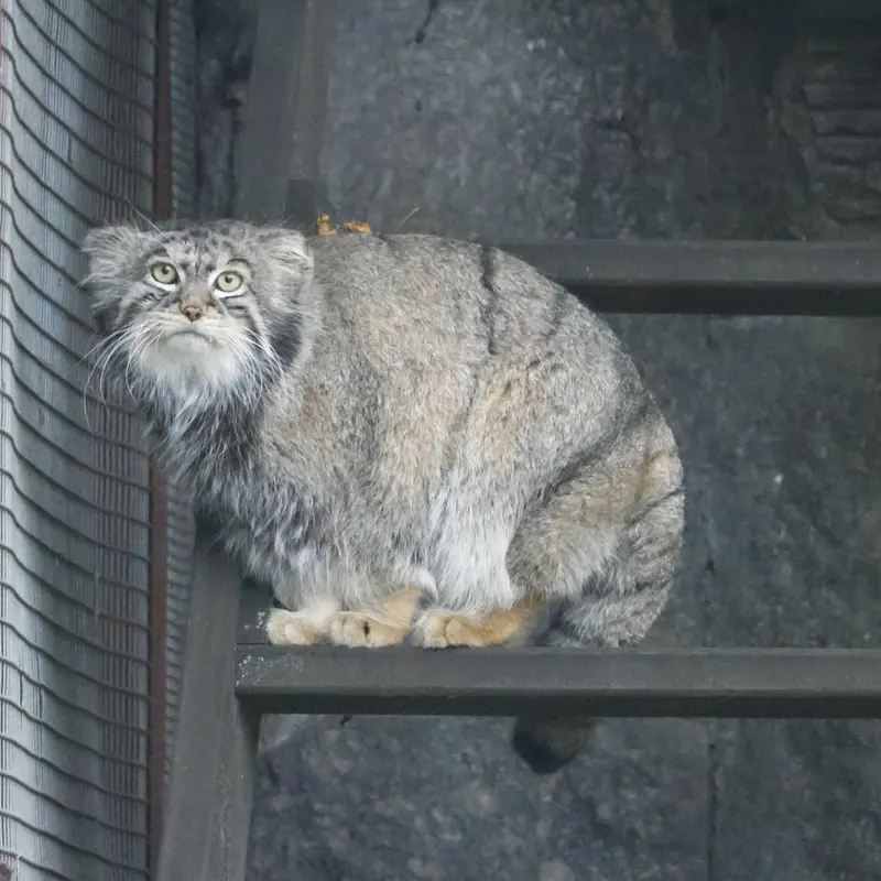 A photograph of Timofey in Moscow zoo