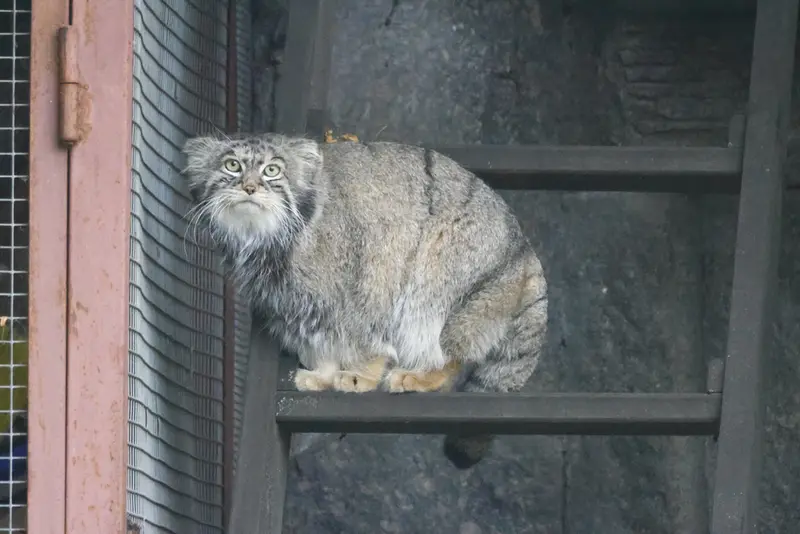 A photograph of Timofey in Moscow zoo