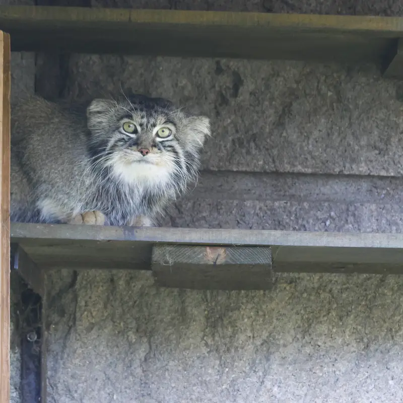 A photograph of Timofey in Moscow zoo