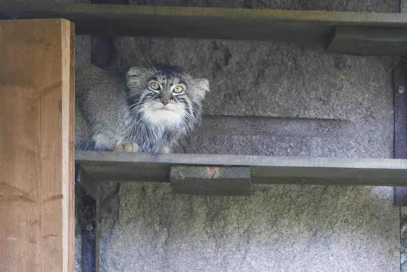 A photograph of Timofey in Moscow zoo