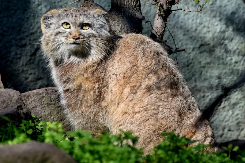 A photograph of Lucy in Budapest Zoo & Botanical Garden