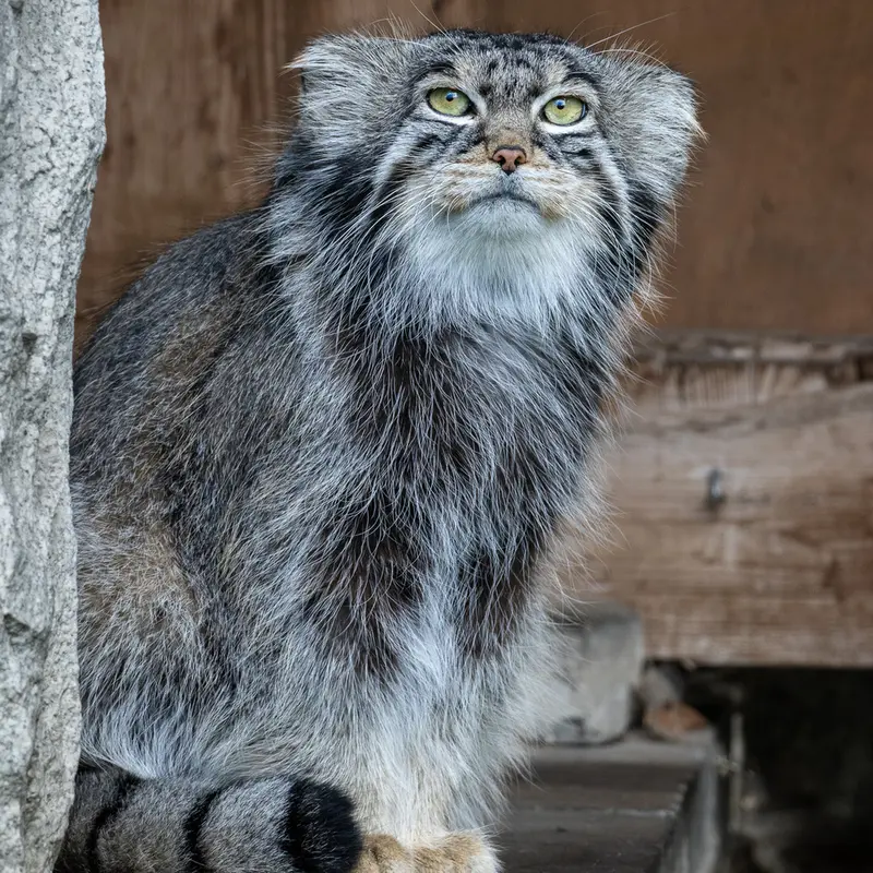 A photograph of Timofey in Moscow zoo