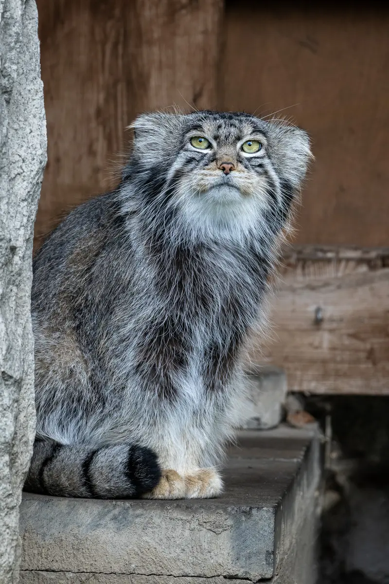 A photograph of Timofey in Moscow zoo