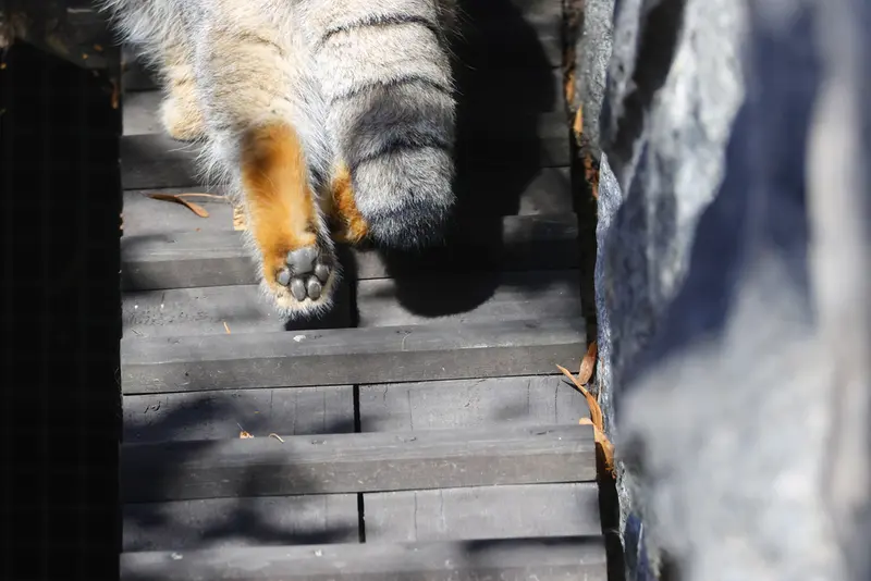 A photograph of Timofey in Moscow zoo