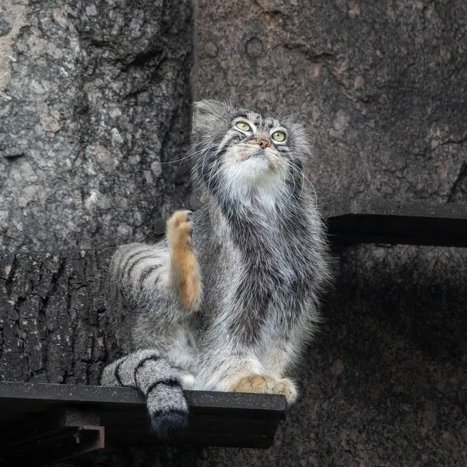 A photograph of Timofey in Moscow zoo
