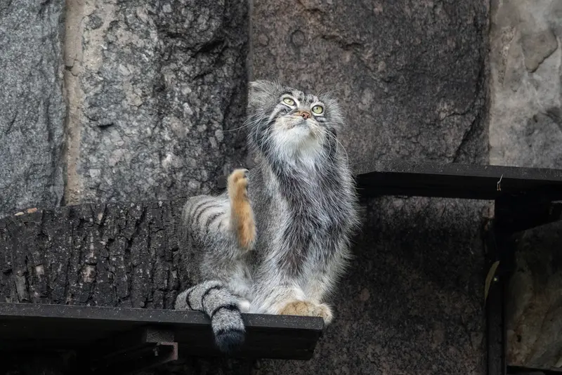 A photograph of Timofey in Moscow zoo