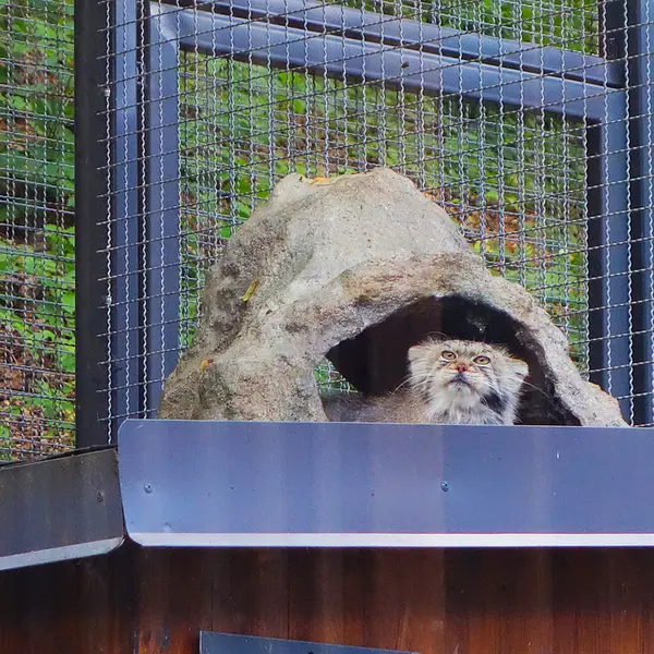 A photograph of Melissa in Lithuanian Zoo