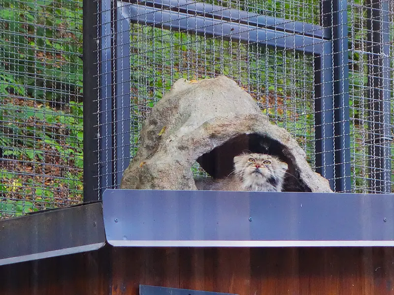A photograph of Melissa in Lithuanian Zoo