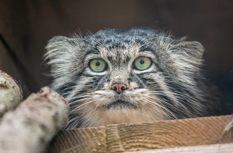 A photograph of Timofey in Moscow zoo