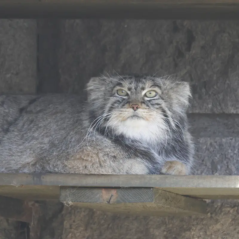 A photograph of Timofey in Moscow zoo