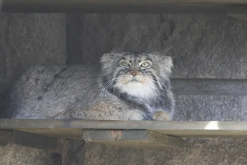 A photograph of Timofey in Moscow zoo