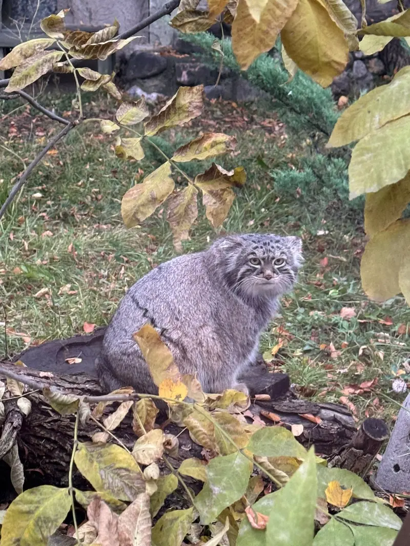 A photograph of Timofey in Moscow zoo