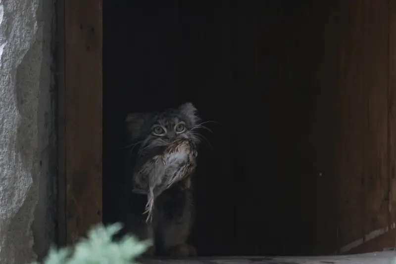 A photograph of Timofey in Moscow zoo
