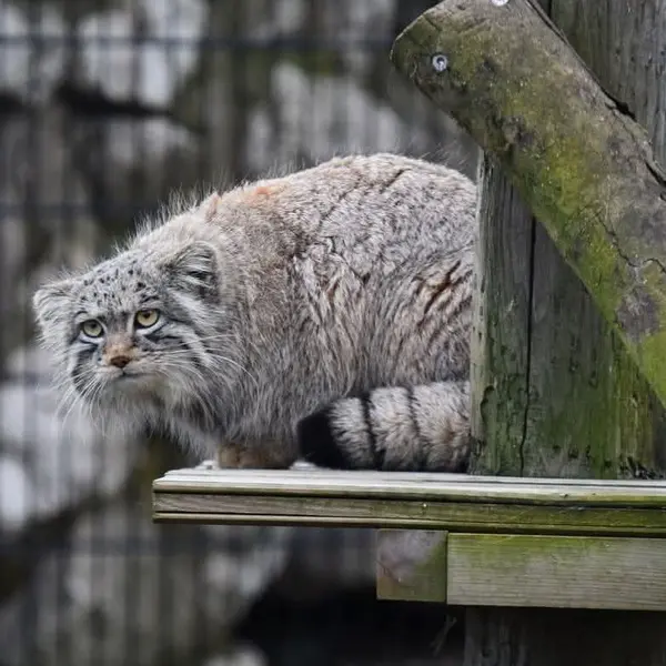 A photograph of Saran in Bio-Topia Dunkerque