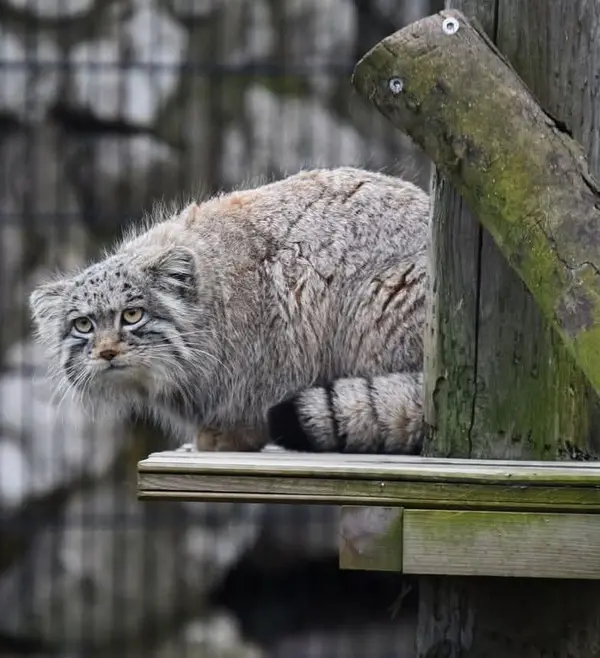 A photograph of Saran in Bio-Topia Dunkerque