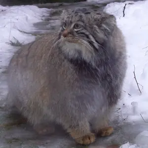 A photograph of Timofey in Moscow zoo