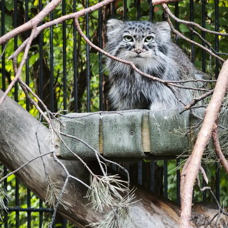 A photograph of Gabi in Novosibirsk Zoo