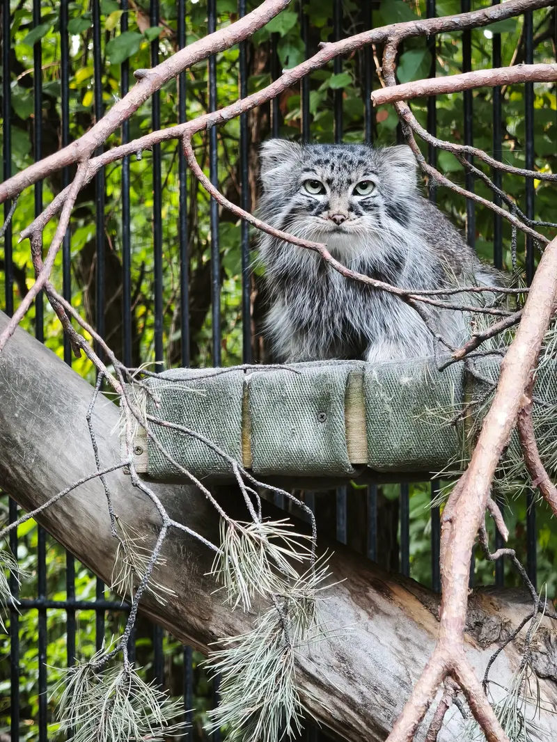 A photograph of Gabi in Novosibirsk Zoo