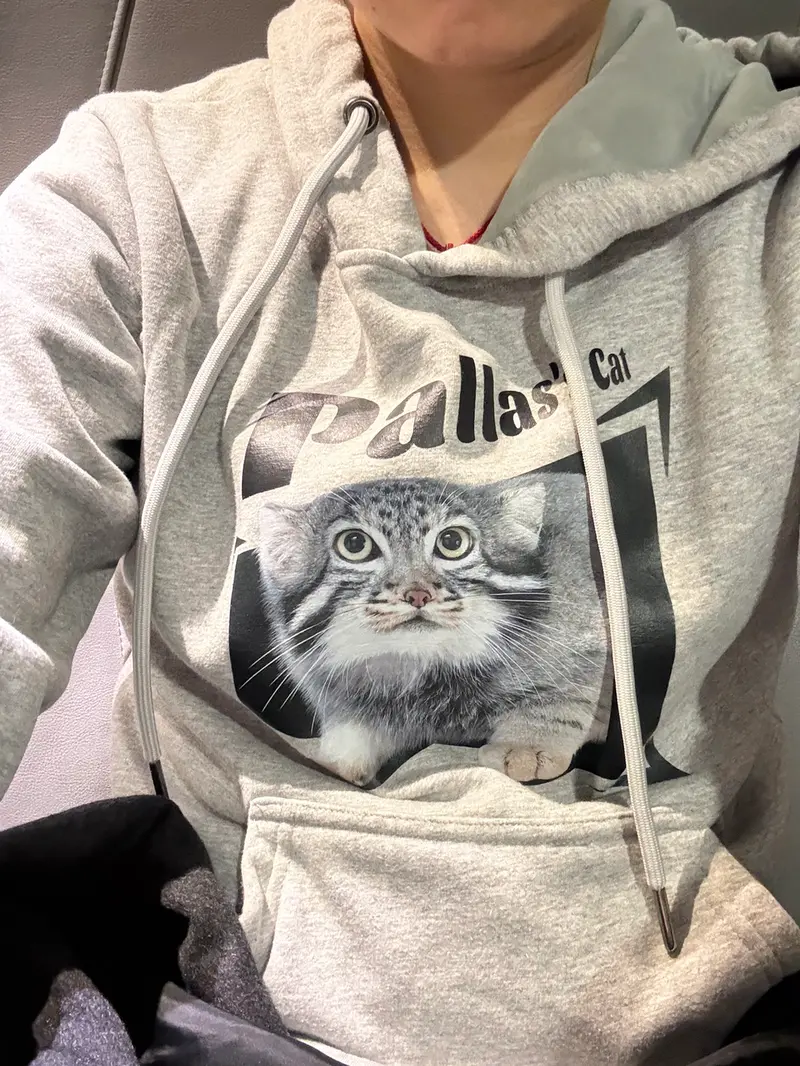 A photograph of a Pallas's cat