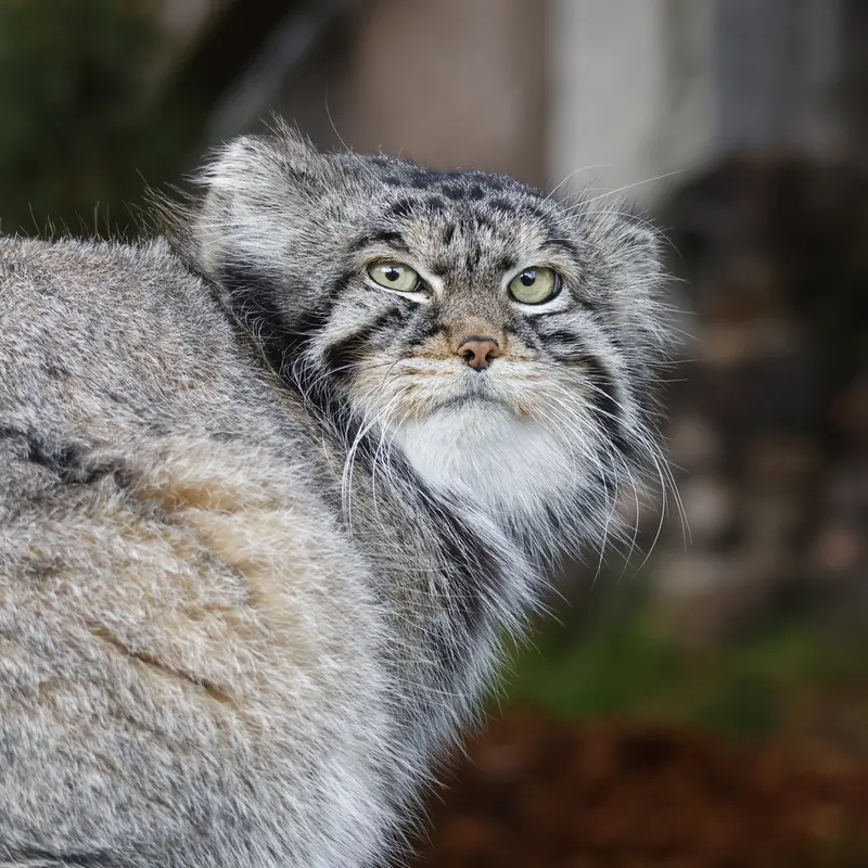 A photograph of Timofey in Moscow zoo