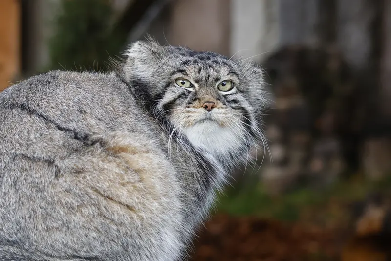 A photograph of Timofey in Moscow zoo