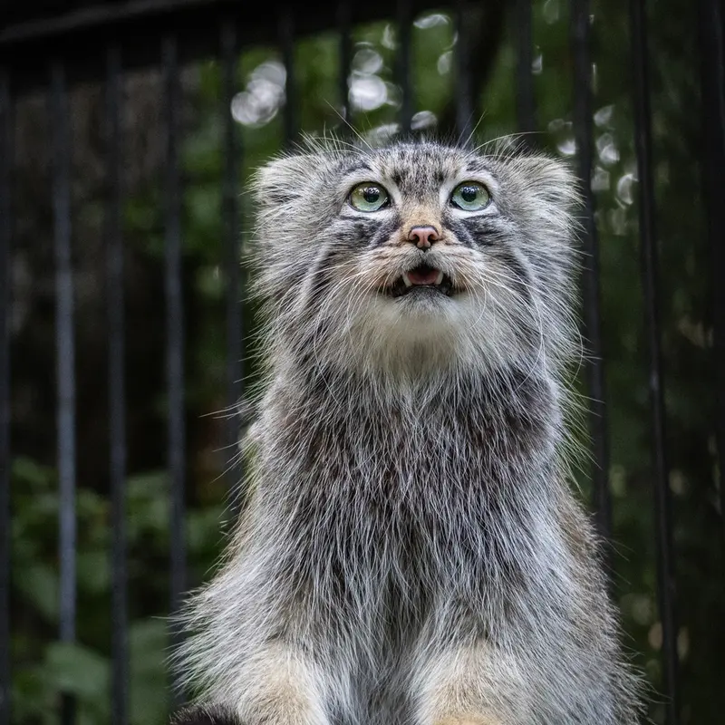 A photograph of Gabi in Novosibirsk Zoo
