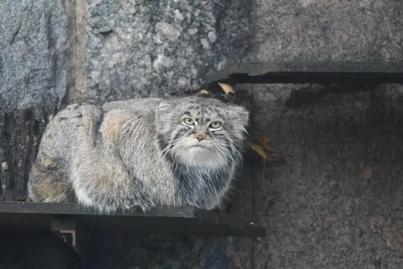 A photograph of Timofey in Moscow zoo