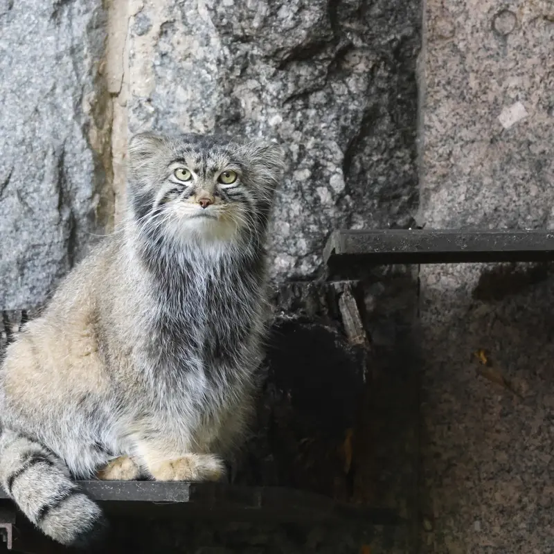 A photograph of Timofey in Moscow zoo