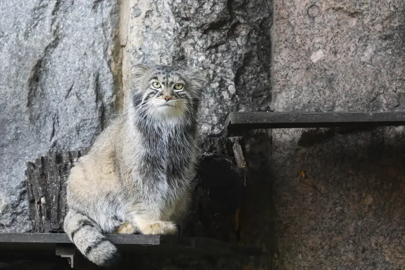 A photograph of Timofey in Moscow zoo