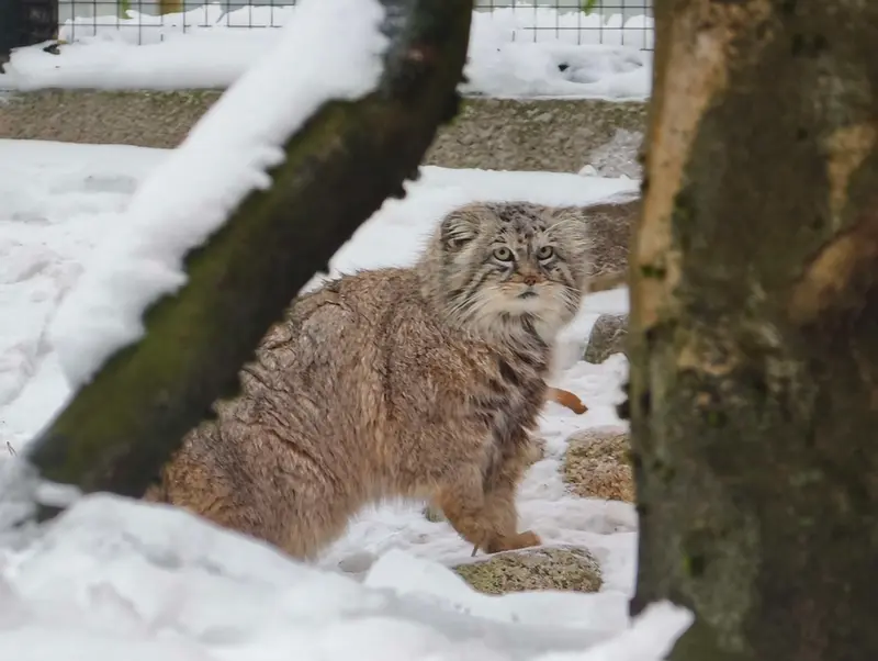 A photograph of Manuel in Gdansk Zoo