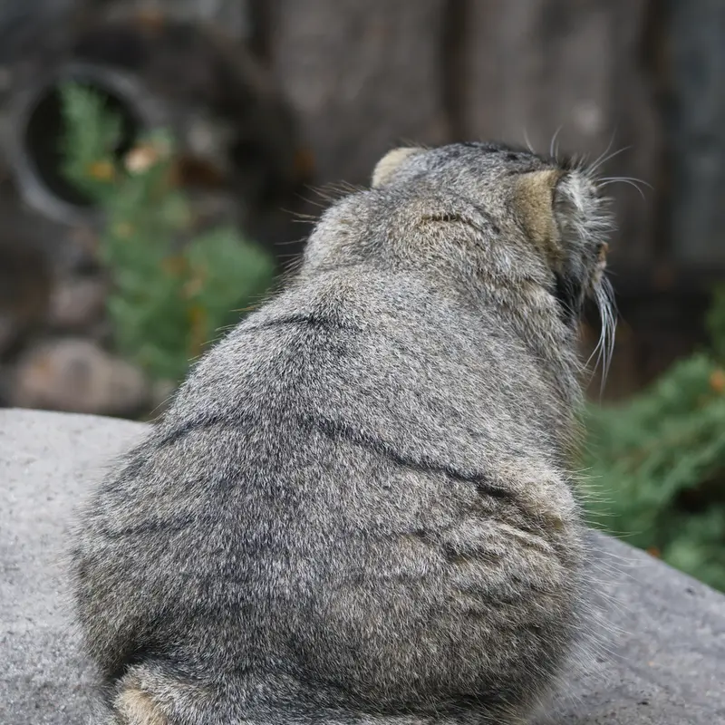 A photograph of Timofey in Moscow zoo