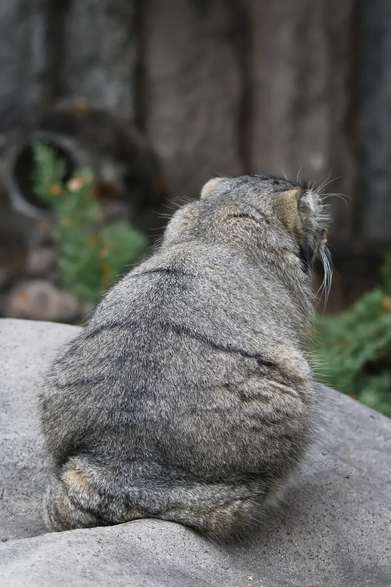 A photograph of Timofey in Moscow zoo