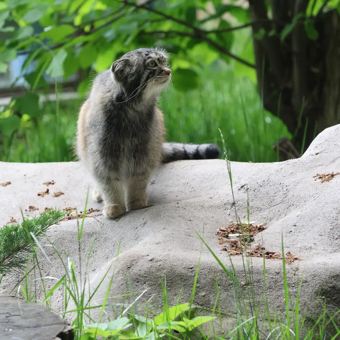 A photograph of Timofey in Moscow zoo
