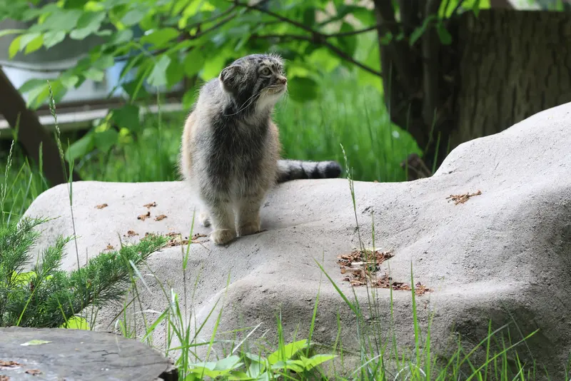 A photograph of Timofey in Moscow zoo