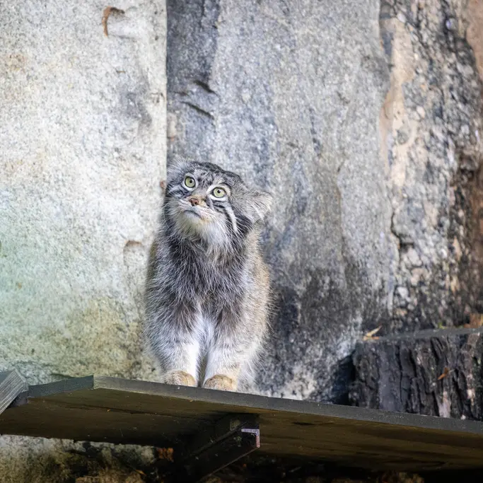 A photograph of Timofey in Moscow zoo