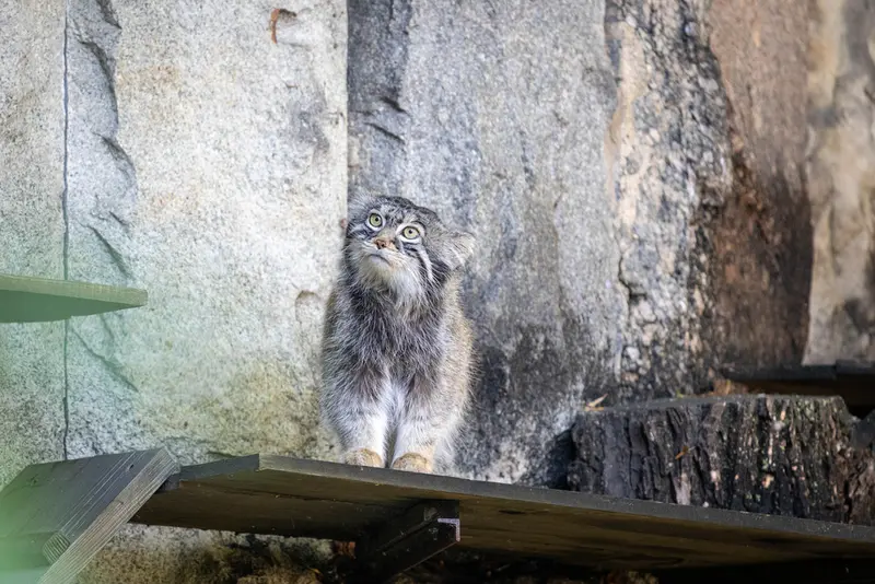 A photograph of Timofey in Moscow zoo