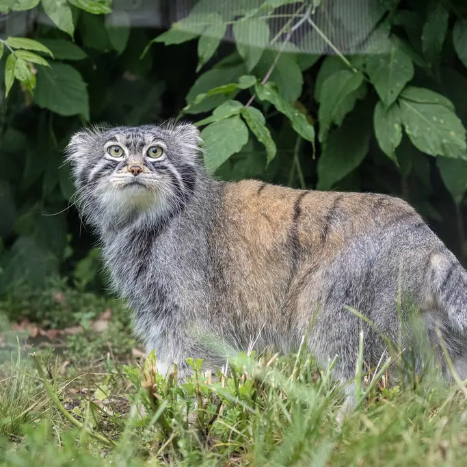 A photograph of Timofey in Moscow zoo